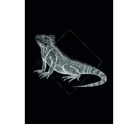 Komar Wall Picture | Iguana Black | Poster Picture Living Room Bedroom Decoration Art Print | No Frame | P077D-50x70 | Size: 50x70 cm (Width x Height)