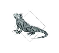 Komar Wall Picture | Iguana White | Poster Picture Living Room Bedroom Decoration Art Print | No Frame | P077A-40x50 | Size: 40x50 cm (Width x Height)