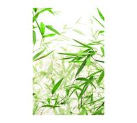 Komar Wall Picture, Paper, White, Green, Brown, 50 x 70 cm