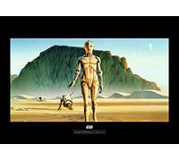Komar Wall Picture Star Wars Classic RMQ Droids Children's Room Decoration Art Print Without Frame WB135-70 x 50 cm Dimensions 70 x 50 cm (Width x Height)