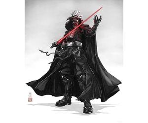 Komar Wall Picture Star Wars Vision Samurai Dark Lord Size 40 x 50 cm Poster Nursery Decoration Rolled without Frame