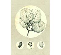 Komar Wall Picture Transparent Leaf Poster Picture Living Room Bedroom Decoration Art Print Without Frame P053-50x70 Size 50 x 70 cm (Width x Height)