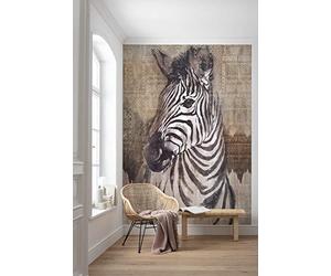 Komar X4-1010 Non-Woven Zebra Size: 200 x 250 cm 4 Panels, Width 50 cm Wallpaper, Decoration, Wall Mural, Wall Covering, Design Wallpaper X4-1010 Photo Wallpaper, Black, Brown, White