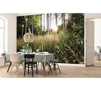 Komar X7-1005 Non-Woven Summer Glade Size: 350 x 250 cm 7 Panels Width 50 cm Wallpaper Decoration Wall Mural Wall Covering Design Wallpaper X7-1005 Photo Wallpaper Colourful