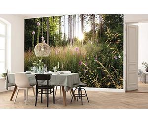 Komar X7-1005 Non-Woven Summer Glade Size: 350 x 250 cm 7 Panels Width 50 cm Wallpaper Decoration Wall Mural Wall Covering Design Wallpaper X7-1005 Photo Wallpaper Colourful