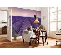 Komar X8-036 Non-Woven Photo Wallpaper - Provence - Size Height - 8 Panel Width 50 cm, Lavender, 400 x 260 cm (Breite x Höhe)