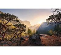 Komar YOSEMITES Secret Non-Woven Photo Wallpaper XXL Decoration Nature Landscape Bedroom Living Room Office Hallway Size 450 x 280 cm (Width x Height) SHX9-101 Multi-Coloured