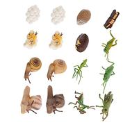 KOMBIUDA 16pcs Animal Model Science Education Cognition Kindergarten Tool Models Animal Evolution Model Education Animal Growth Model Animal Display Models Abs Random Color