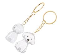 KOMBIUDA 2pcs Dog Hair Keepsake Transparent Case Portable Pet Hair Storage Keychain Bag Charm for Memorial and Commemoration Compact Lightweight Protective Box for Preservation
