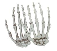 KOMBIUDA 2Pcs Realistic Skeleton Hand Halloween Decor for Home Office Details Craftsmanship present for Halloween Parties Events