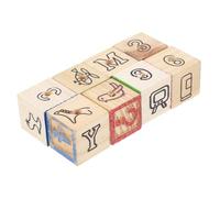 KOMBIUDA 8 Pcs Wooden Alphabet Blocks Thicken Pattern Dice Educational for Pet Parrots with Holes Design for Cognitive Development and Endless Fun