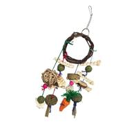 KOMBIUDA Branch Chew for Hamsters and Rabbits Bite Stick for Healthy Teeth Grinding Stress Relief and Pet Dental Care Suitable for Hamster Accessories and Small Pets