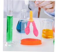 KOMBIUDA Human Lung Breathing Model for Compact Educational Lung Anatomy Aid Lightweight Diaphragm Movement Simulator Scientific Experiment Tool Random Color