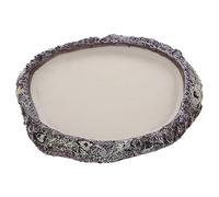 KOMBIUDA Reptile Food and Water Bowl for Tortoise and Lizard Durable Dish with Bright Colors Feeding for Bearded Dragons Secure Safe Design for Reptile Care