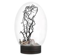 KOMBIUDA Small LED Desktop Aquarium Fish Tank with Black Base, Miniature Ecological Fish Bowl for Goldfish Raising, Decorative Small Aquarium for Home and Office Use