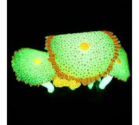 KOMBIUDA Yellow Silicone Artificial Coral with Realistic Shape for Aquarium Decorations, Adds Natural Atmosphere and Enhances Fish Tank Landscape, for Aquarium Artificial Plants and Fish