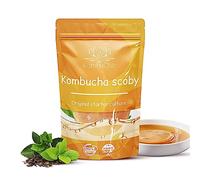 Kombucha scoby Starter Kit + Preparation Tips, Basic Recipe Guide