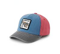 komi kyanissor Boys' Blue Dinosaur Hat Embroidered Dino Washed Adjustable Outdoor Sports Wear Sun Cap Baseball Cap for Kids Age 2-8
