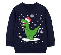 komi kyanissor Toddler Boys Christmas Jumper Sweatshirt Dinosaur Santa Candies Cotton Pullover Top Navy Shirt Snowflake Dino Holiday Outfit 4 Years