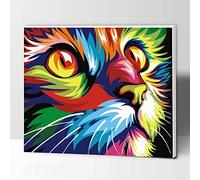 KOMKING DIY Paint by Numbers for Kids and Adults with Frame, Acrylic Painting Paint by Number Kits on Canvas, Colorful Cat 12 x16inch