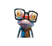 KOMKING Paint by Numbers for Adults Kids Beginner, Painting by Number Kits on Canvas Without Frame, Colorful Frog 16x20inch
