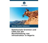 Kommunale Gremien und CDAs bei der Bereitstellung von Infrastruktur in Nigeria