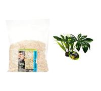 Komodo Aspen Bed Terrain 12L Jungle Canopy Artificial Plant | Natural Reptile Bedding & Habitat Décor Bundle