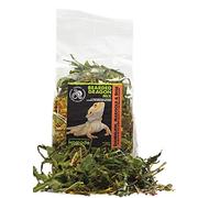 Komodo Bearded Dragon Mix 80g