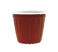 Komodo Brown Sugar Jelly Pots Refill Pack for Crickets, Beetles