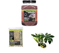 Komodo Complete Holistic Tortoise Diet Dandelion 680 g, Coarse Beech Chips 6 L & Jungle Canopy Plant - Tortoise Food, Substrate & Habitat Décor Kit
