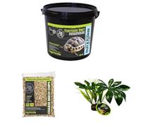 Komodo Complete Holistic Tortoise Diet Fruit & Flower 2 kg (2.1 kg), Coarse Beech Chips 12 L & Jungle Canopy Plant - Tortoise Food, Substrate & Habitat Décor Kit
