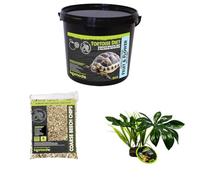 Komodo Complete Holistic Tortoise Diet Fruit & Flower 2 kg (2.1 kg), Coarse Beech Chips 6 L & Jungle Canopy Plant - Tortoise Food, Substrate & Habitat Décor Kit