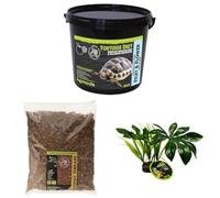 Komodo Complete Holistic Tortoise Diet Fruit & Flower 2 kg (2.1 kg), Coconut Terrain 12 L & Jungle Canopy Plant - Tortoise Food, Substrate & Habitat Décor Kit