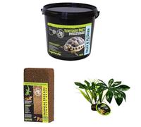 Komodo Complete Holistic Tortoise Diet Fruit & Flower 2 kg (2.1 kg), Tropical Terrain Compact Brick 64 g & Jungle Canopy Plant - Tortoise Food, Substrate & Habitat Décor Kit