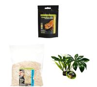 Komodo Crested Gecko Diet 60g + Aspen Bed Terrain 12L + Jungle Canopy Plant | Nutrition, Natural Bedding & Habitat Décor for Geckos & Reptiles
