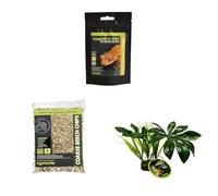 Komodo Crested Gecko Diet 60g + Coarse Beech Chips 6L + Jungle Canopy Plant | Nutrition, Natural Bedding & Habitat Décor for Geckos & Reptiles