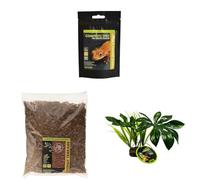 Komodo Crested Gecko Diet 60g + Coconut Terrain 12L + Jungle Canopy Plant | Nutrition, Natural Bedding & Habitat Décor for Geckos & Reptiles
