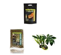 Komodo Crested Gecko Diet 60g + Straw Terrain 12L + Jungle Canopy Plant | Complete Nutrition, Natural Bedding & Habitat Décor for Geckos & Reptiles