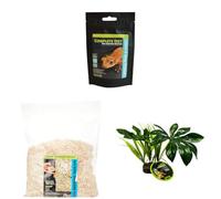 Komodo Crested Gecko Diet Tropical Fruit & Insect 60 g, Aspen Bed Terrain 12 L & Jungle Canopy Plant - Gecko Food, Substrate & Habitat Décor Kit