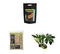 Komodo Crested Gecko Diet Tropical Fruit & Insect 60 g, Coarse Beech Chips 12 L (2.2 kg) & Jungle Canopy Plant - Gecko Food, Substrate & Habitat Décor Kit