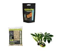 Komodo Crested Gecko Diet Tropical Fruit & Insect 60 g, Coarse Beech Chips 6 L (41×29×10 cm) & Jungle Canopy Plant - Gecko Food, Substrate & Habitat Décor Kit