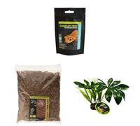 Komodo Crested Gecko Diet Tropical Fruit & Insect 60 g, Coconut Terrain 12 L & Jungle Canopy Plant - Gecko Food, Substrate & Habitat Décor Kit