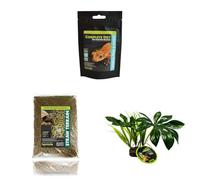 Komodo Crested Gecko Diet Tropical Fruit & Insect 60 g, Straw Terrain 12 L (6.28 kg) & Jungle Canopy Plant - Gecko Food, Substrate & Habitat Décor Kit