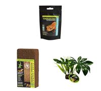 Komodo Crested Gecko Diet Tropical Fruit & Insect 60g + Tropical Terrain Brick + Jungle Canopy Plant | Gecko Food, Natural Substrate & Habitat Décor