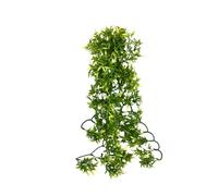 Komodo Croton Plant Cage Decor for Terrarium Vivarium Desert Habitat Lush Greenery Durable Realistic Hygienic Easy to Clean Plant Accessory - 60cm