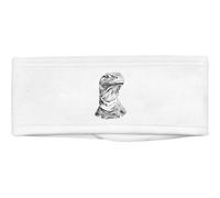 'Komodo Dragon Portrait' Beauty Head Band/Hair Band (HB00038598)