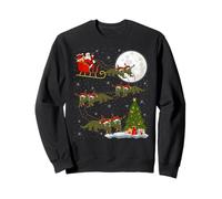 Komodo Dragon Santa Sleigh Flying Funny Magical Christmas Sweatshirt