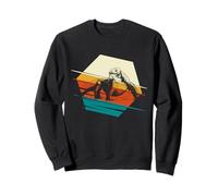 Komodo Dragon Vintage Animal Reptile Lovers Gifts Sweatshirt