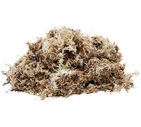 Komodo Habitat Moss, 1.5 Litre