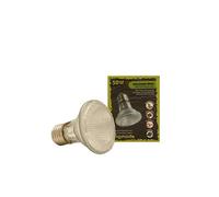 Komodo Halogen Spot Lamp ES, 50 Watt